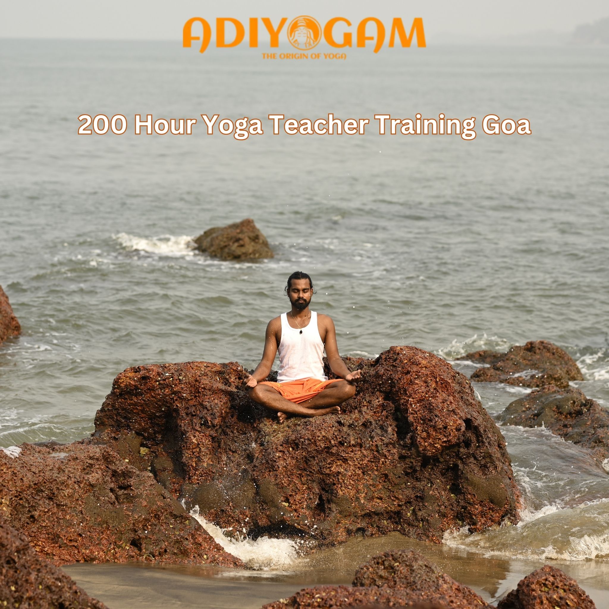 embark-on-a-transformational-journey-explore-our-200-hour-yoga-teacher